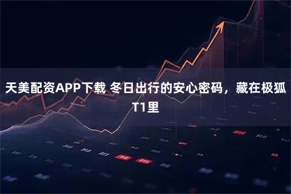 天美配资APP下载 冬日出行的安心密码，藏在极狐T1里