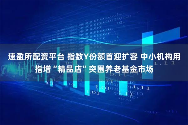 速盈所配资平台 指数Y份额首迎扩容 中小机构用指增“精品店”突围养老基金市场