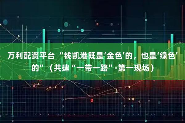 万利配资平台 “钱凯港既是‘金色’的，也是‘绿色’的”（共建“一带一路”·第一现场）