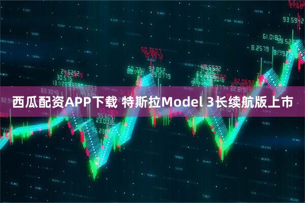 西瓜配资APP下载 特斯拉Model 3长续航版上市